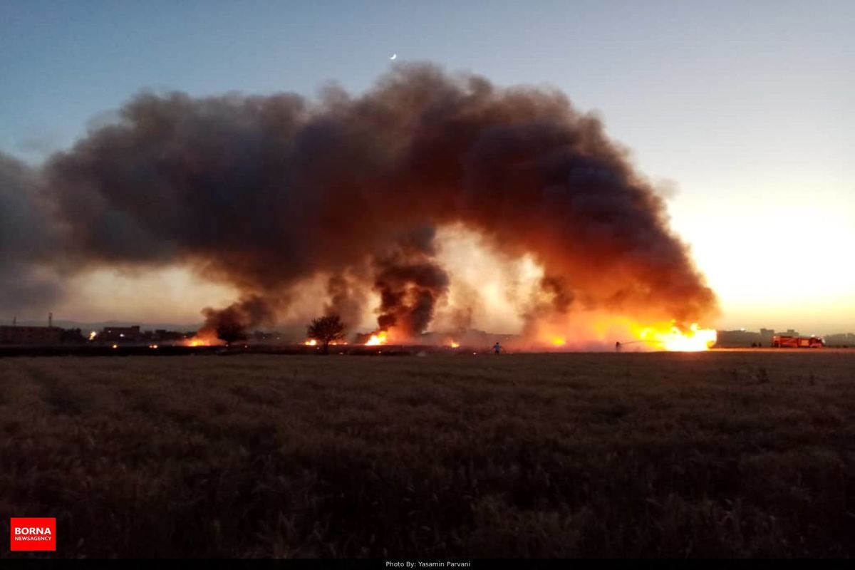 مهار آتش سوزی در لحظات اولیه/ اقدامات کشاورزان دلیل بروز حریق