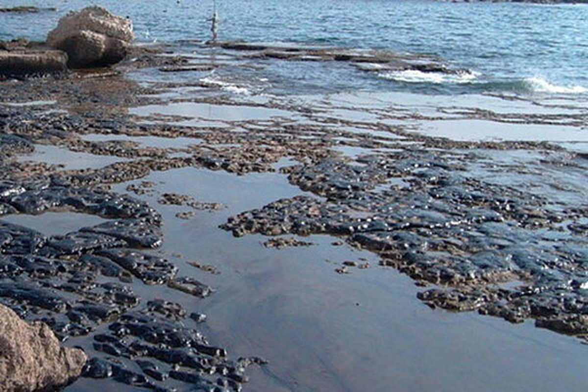 شکوفایی جلبکی و آلودگی، مخاطرات زیستی دریای خزر