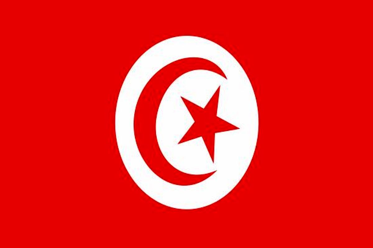 رئیس مجلس تونس، رسانه‌های امارات را پشت رویدادهای کشورش دانست