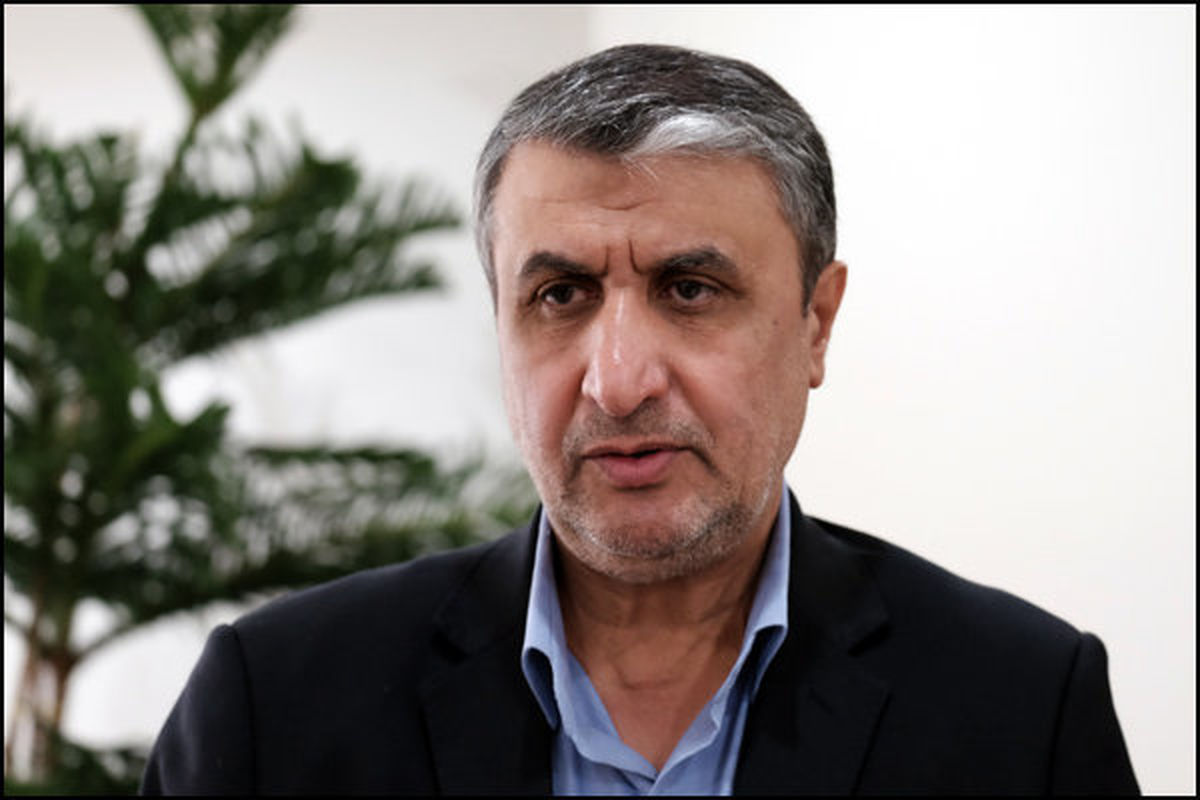 رئیس سازمان انرژی اتمی درگذشت سرلشکر فیروزآبادی را تسلیت گفت