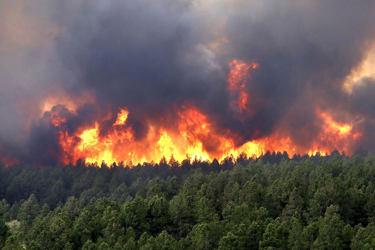 آتش‌سوزی مراتع استان همدان حدود ۹۰ درصد کاهش یافته است
