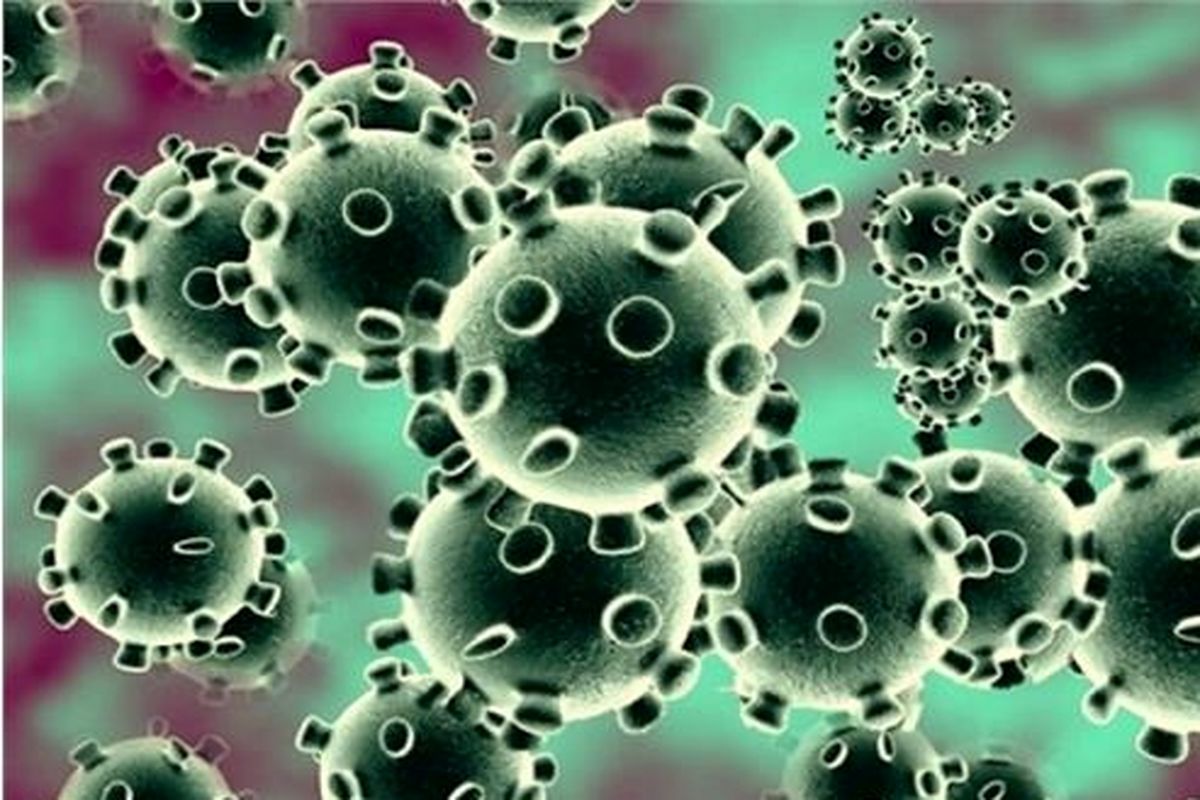 آخرین و جدیدترین آمار کرونایی استان کهگیلویه و بویراحمد تا ۲۱ شهریور ۱۴۰۰