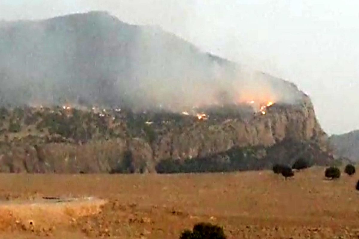 ۸۰ درصد از آتش سوزیِ منابع طبیعی و مراتع کوه نیرِ در لوداب مهار شد