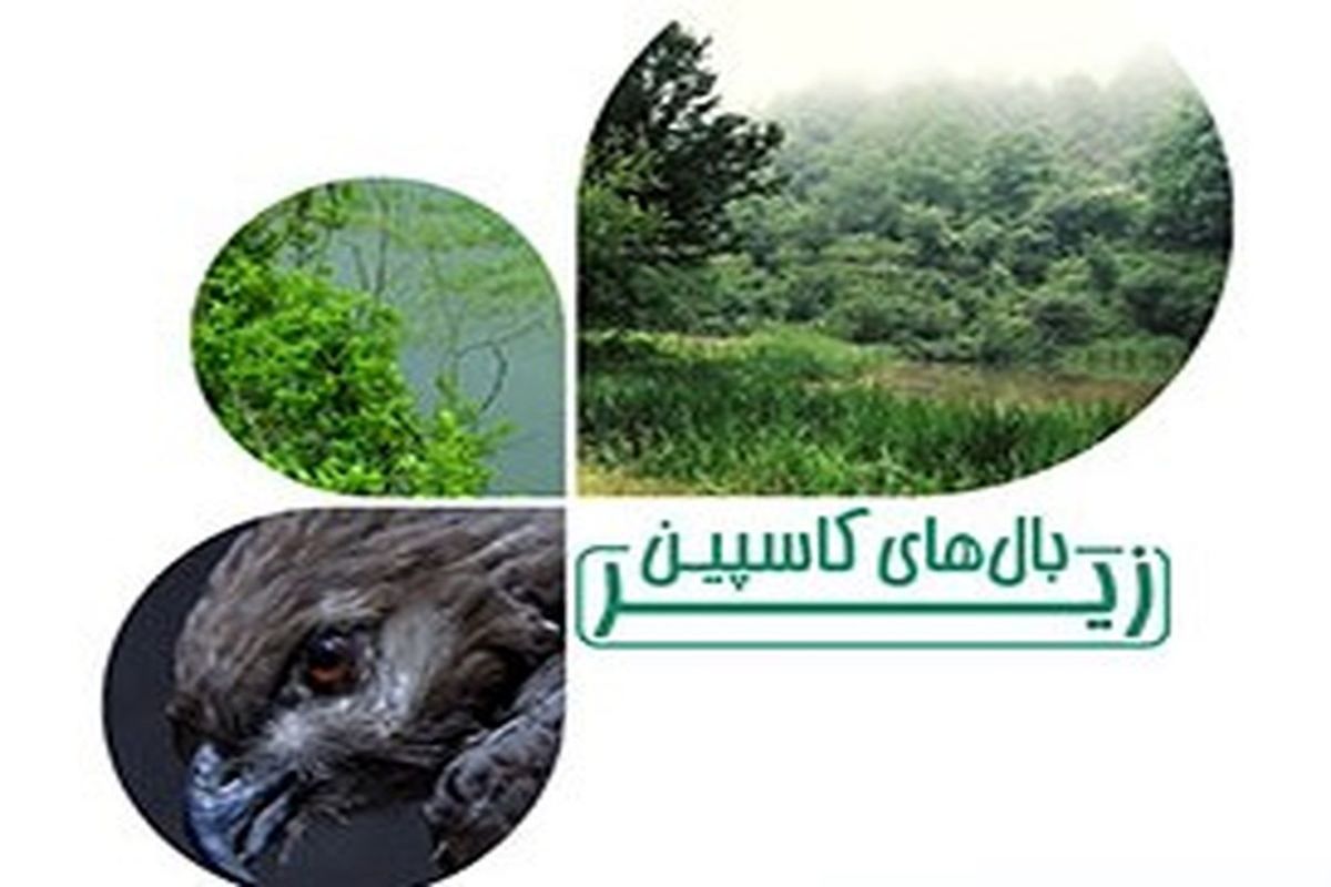 پخش «زیر بال های کاسپین» با هدف معرفی تنوع زیستی و جانوری جنگل ها
