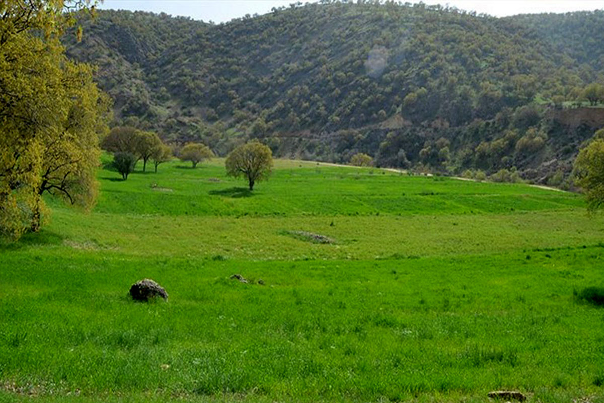 اراضی۴۱۰ میلیاردی لاهیجان رفع تصرف شد