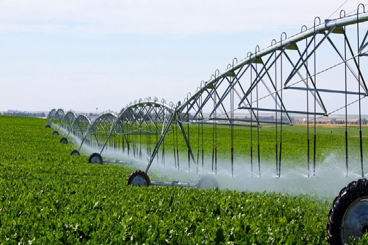 ۲۶ هزار هکتار از اراضی کشاورزی استان قزوین تحت پوشش آبیاری مدرن قرار گرفته است