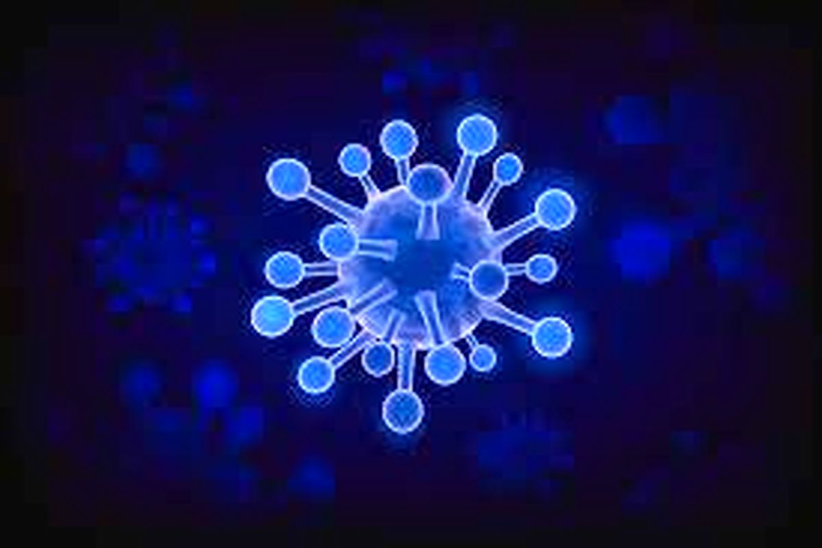 آخرین و جدیدترین آمار کرونایی استان خراسان شمالی تا ۶ شهریور ۱۴۰۰