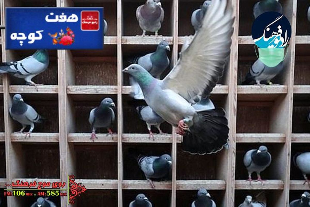 بررسی جایگاه کبوترخانه ها در ایران در «هفت کوچه»