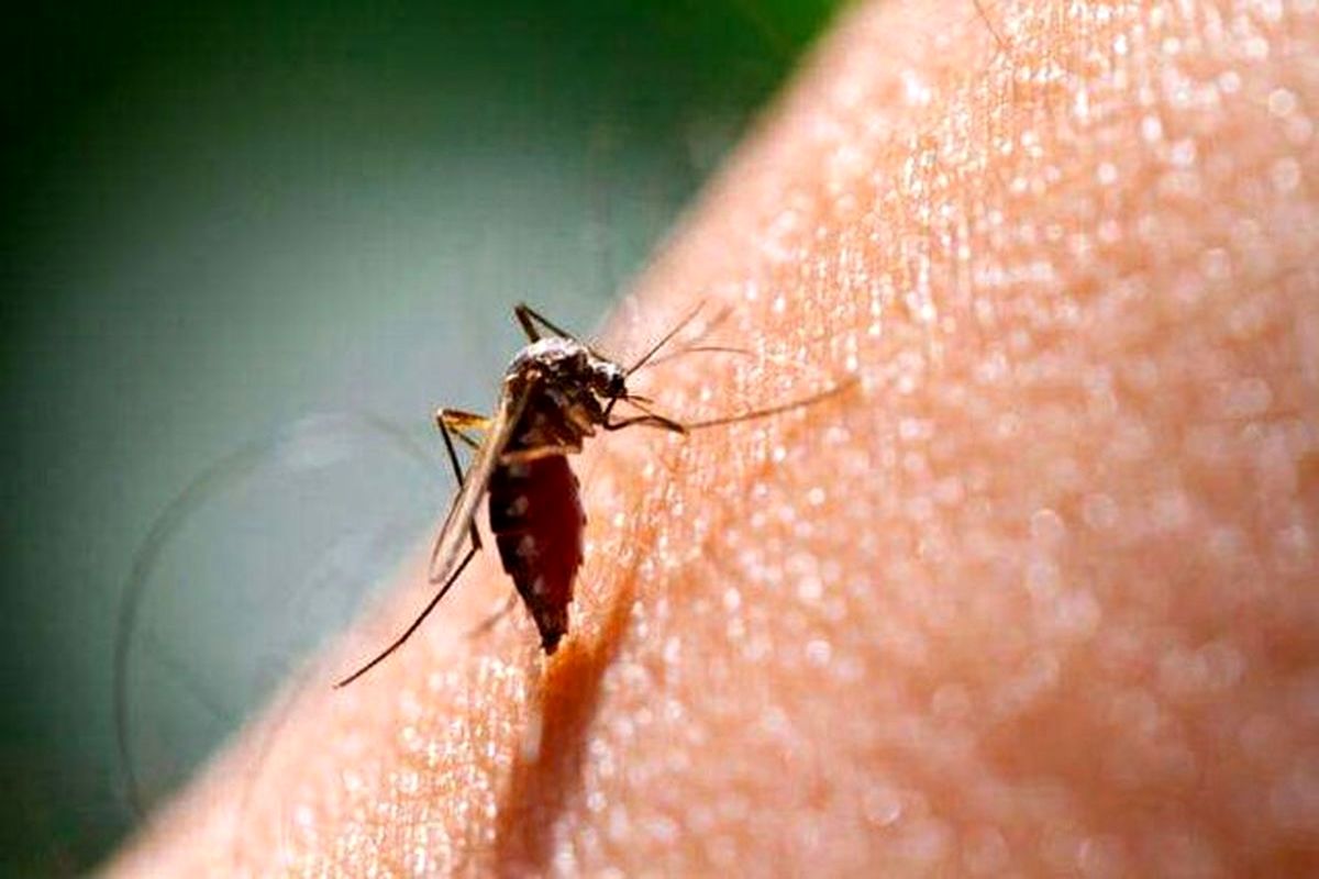 تأیید اولین واکسن مالاریا در جهان توسط (WHO)