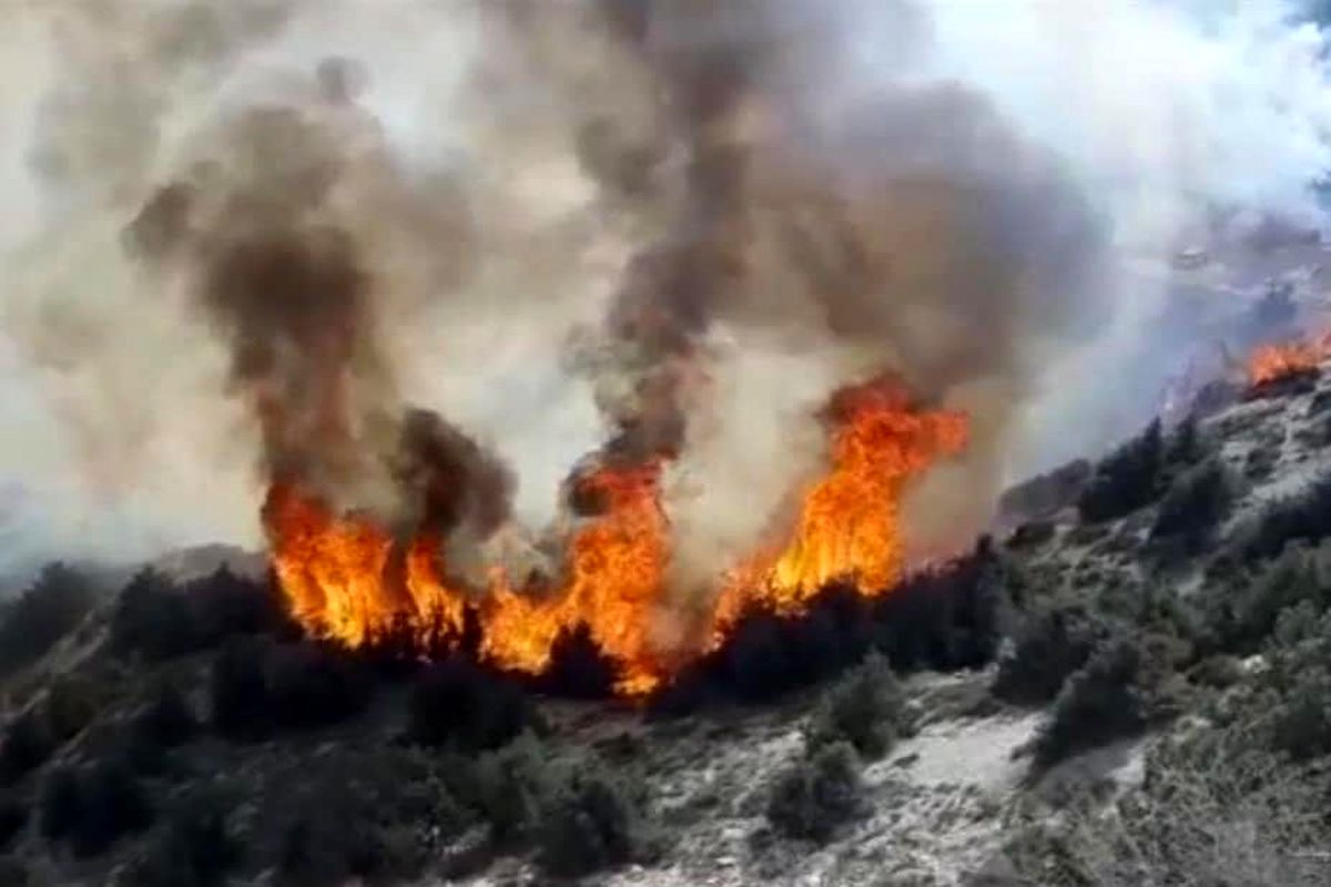 دستگاه قضایی به موضوع آتش سوزی جنگل های دراز نو ورود کرد