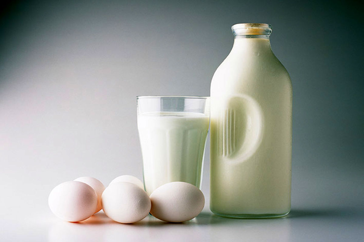 تخم مرغ و شیر؛ پروتئین‌هایی حتی برا گیاهخواران