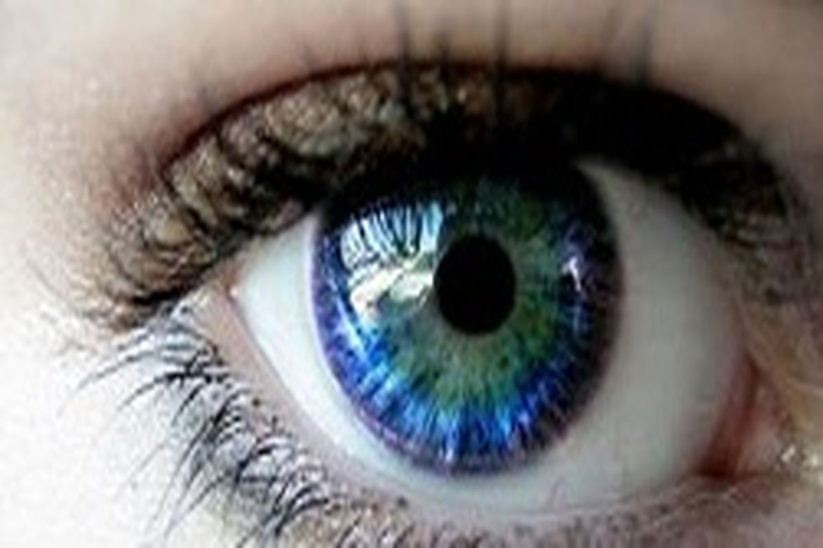 هشتاد درصد یادگیری ما از طریق بینایی شکل می گیرد/ بیشتر آسیب های بینایی قابل پیشگیری است