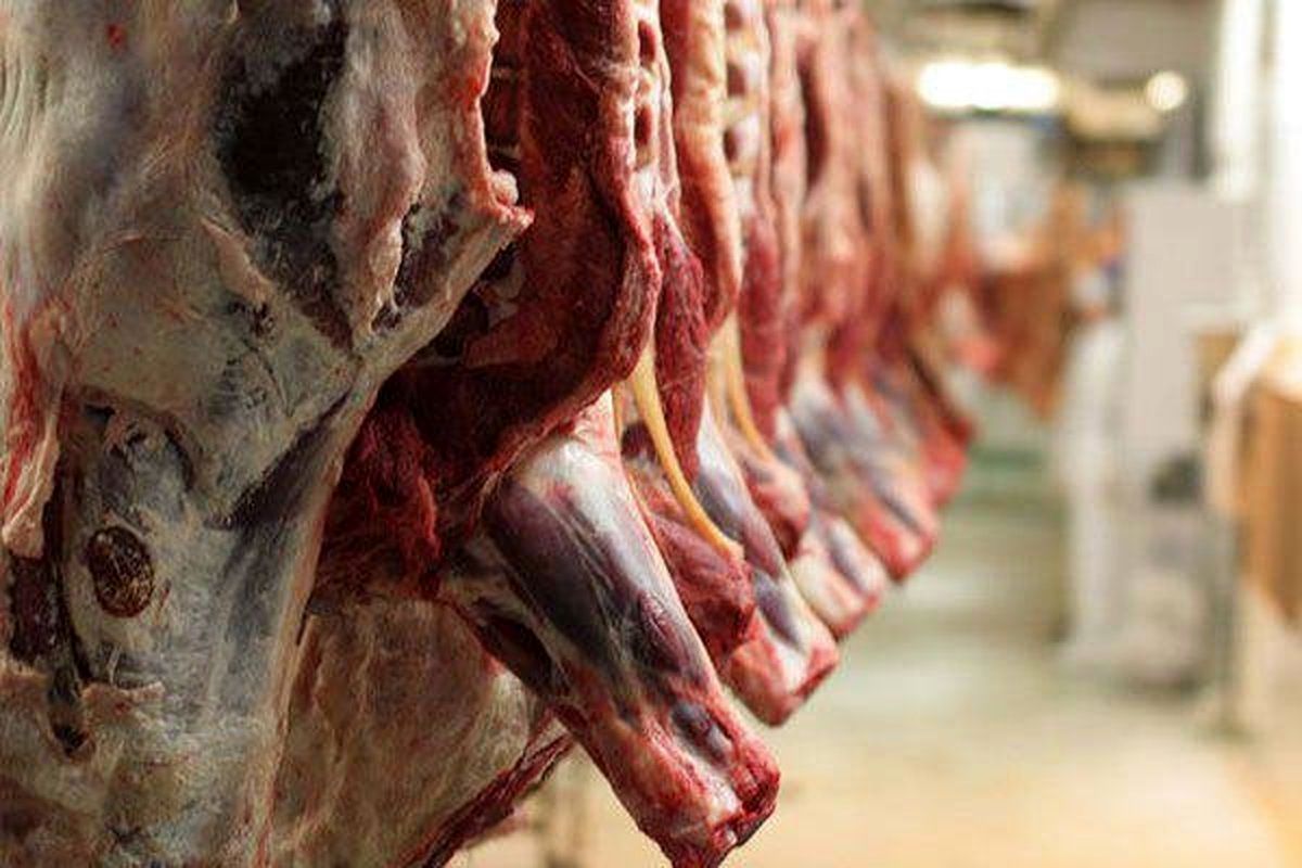 عرضه ۵۲٫۸ هزار تن گوشت به کشتارگاه‌ها در مرداد ۱۴۰۰