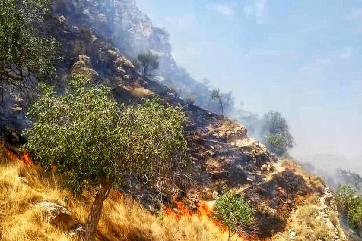 مهار آتش سوزی جنگل‌های منطقه دیل گچساران
