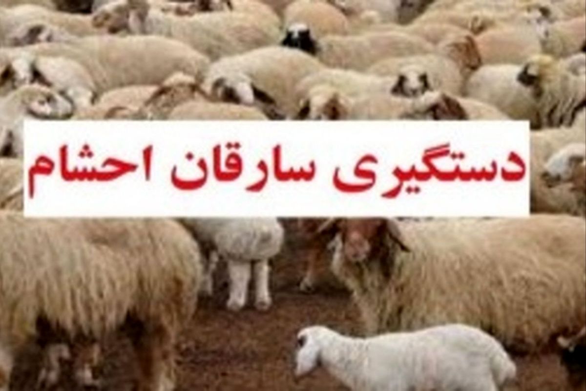 دستگیری سارقان احشام در گچساران