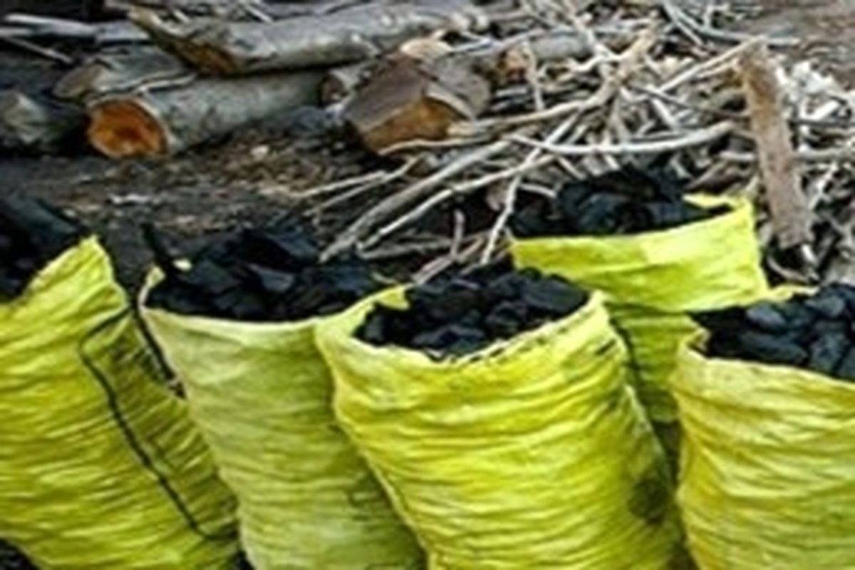 کشف بیش از یک تن ذغال قاچاق در کهگیلویه