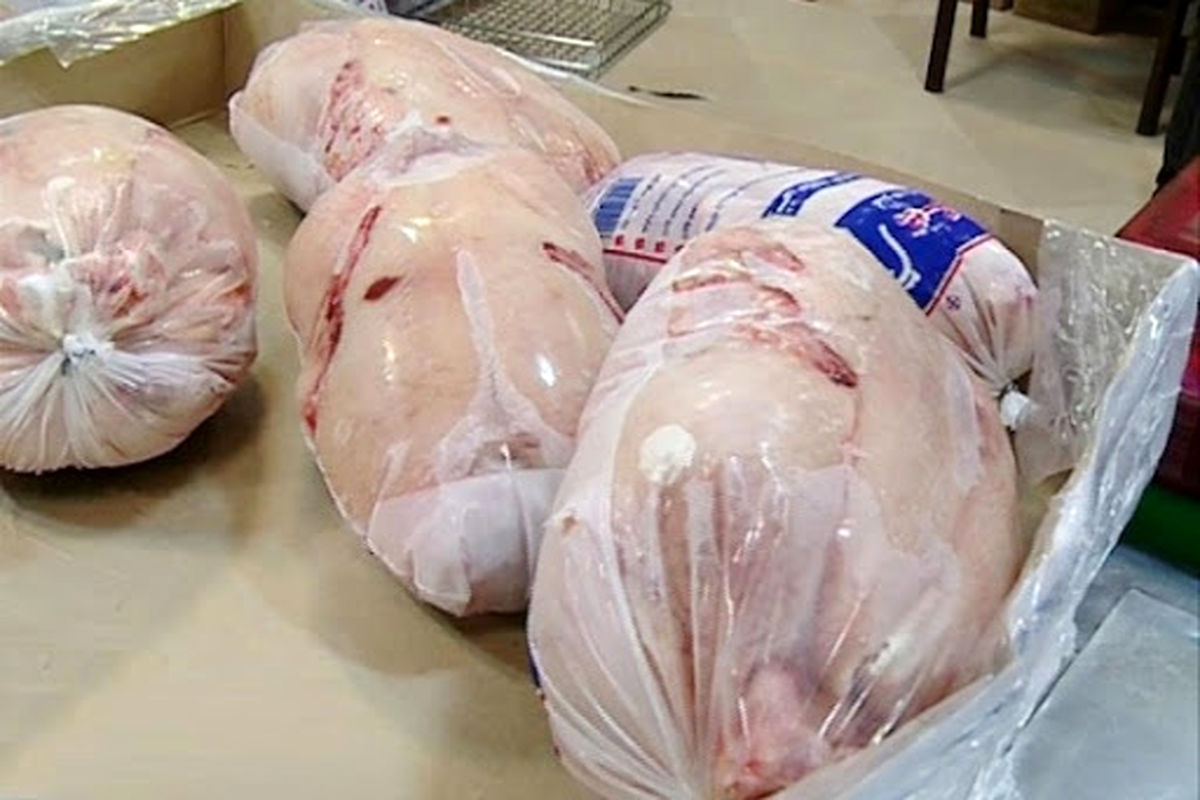 آغاز توزیع نامحدود گوشت مرغ منجمد در آذربایجان غربی