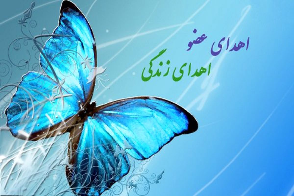 اهدای کبد مرد جیرفتی به یک بیمار نیازمند