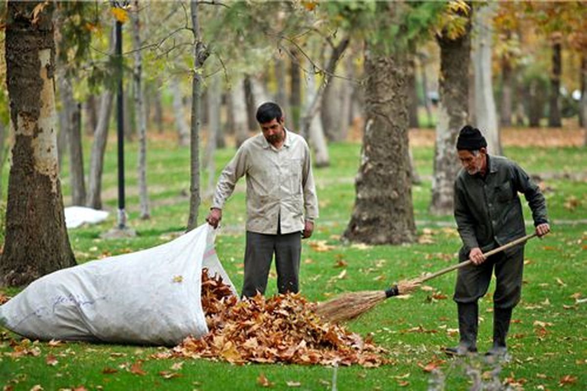 ​۵۰۰ تن برگ پاییزی از معابر شهر اصفهان طی یک شب جمع آوری شد