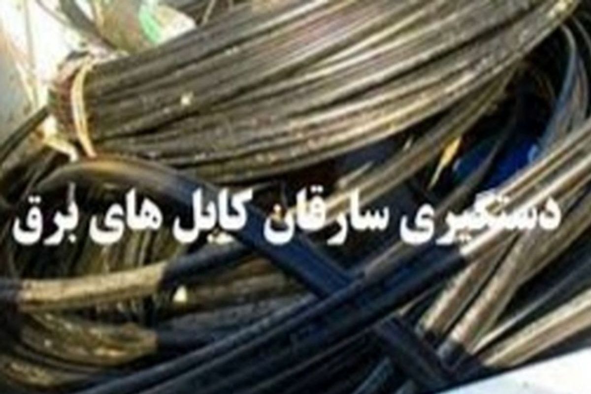 دستگیری سارق سیم و کابل برق در کهگیلویه
