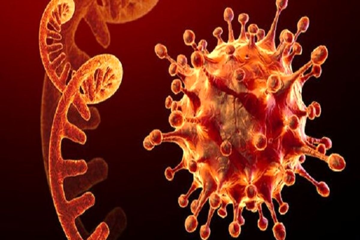 آزمایش ردیابی موارد ابتلا به کرونا با فناوری تشخیص چهره