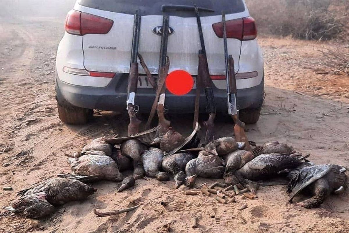 دستگیری شکارچیان متخلف در پلدشت