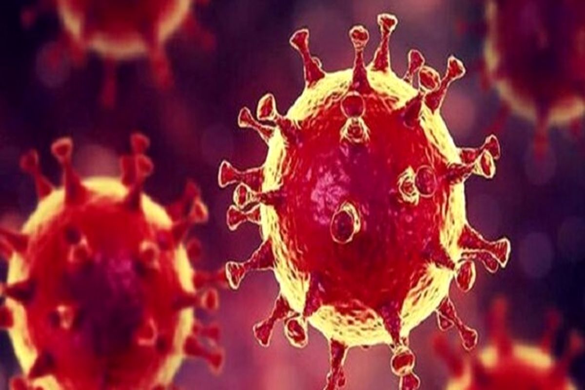 آخرین و جدید ترین آمار کرونایی استان اردبیل تا ۲۸ آذر ۱۴۰۰