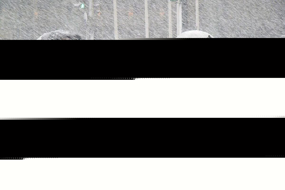 ورود سامانه سرد و بارشی به استان از امشب