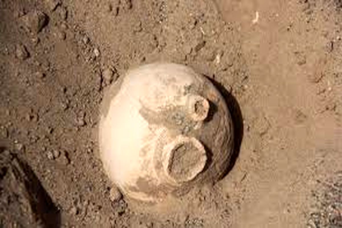 متلاشی شدن باند حفاران غیرمجاز آثار تاریخی در ارومیه