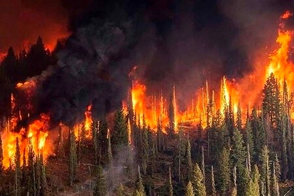 احتمال آتش‌سوزی جنگل‌های مازندران در روز طبیعت