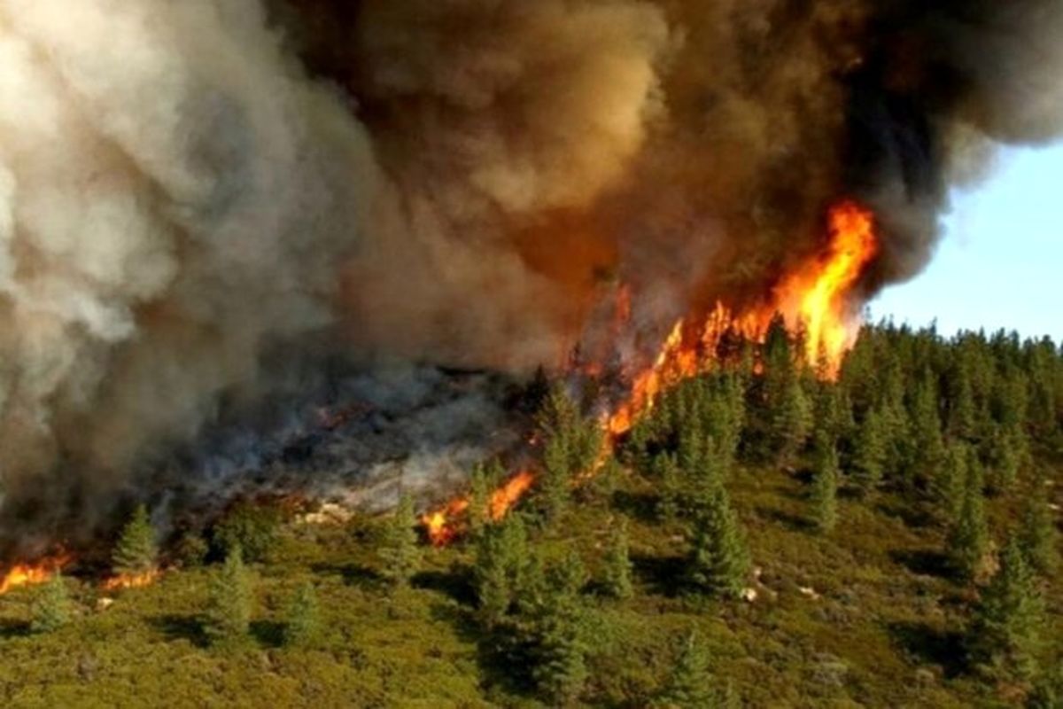 آتش‌سوزی در حاشیه رود ارس خاموش شد