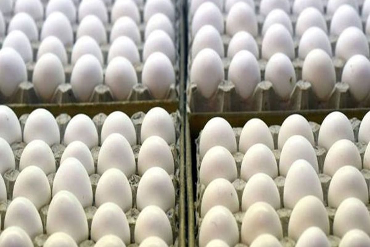 شانه ۳۰ عددی تخم مرغ در میادین؛ ۴۱۸۰۰ تومان