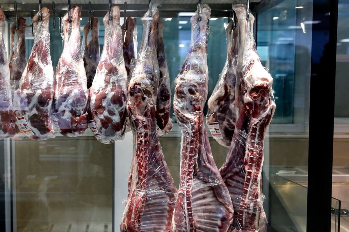 کمبود علوفه و افزایش قیمت نهاده‌ها یکی از علل افزایش قیمت گوشت است