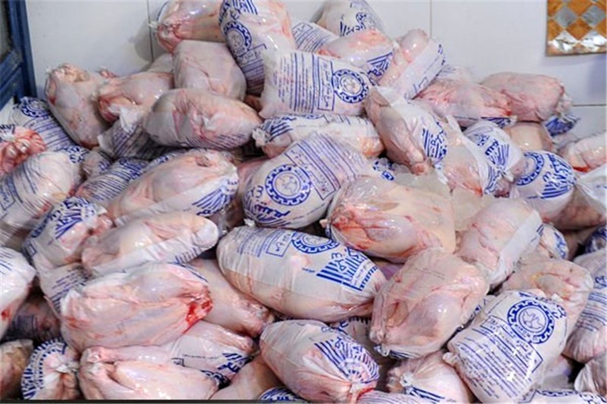 محموله ۱۰ تنی مرغ های قاچاق در قزوین توقیف شد