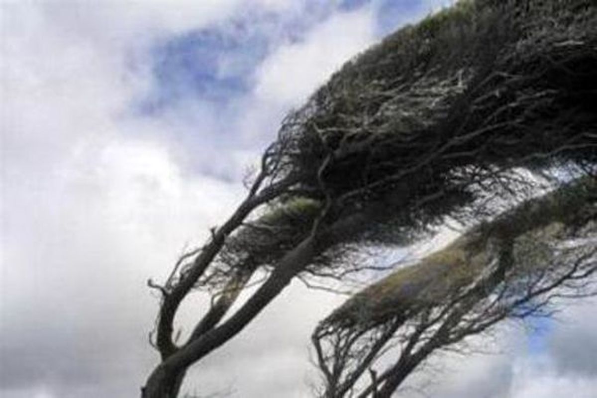 پیش بینی وزش باد شدید در اغلب نقاط کشور