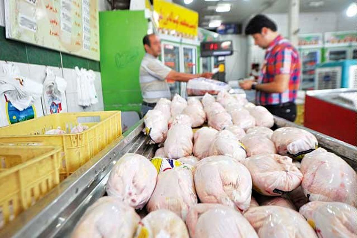 رییس اتحادیه پرنده و ماهی: قیمت مرغ تا پایان سال تغییر قیمت ندارد