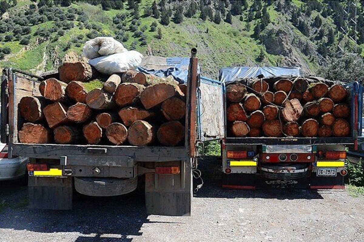 کشف ۳۳ تن چوب قاچاق در شهرستان مهاباد