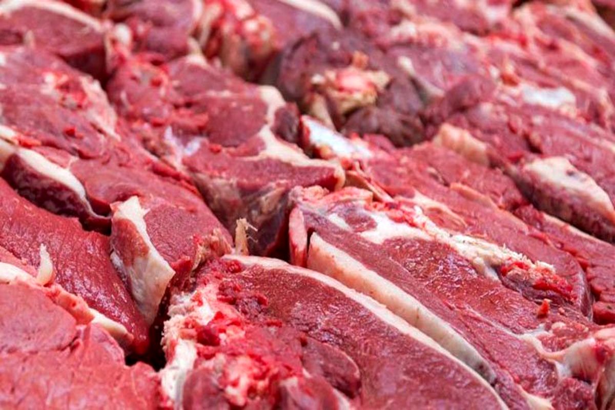 تولید ۲۸ هزار تن گوشت قرمز در واحدهای دامپروری استان قزوین