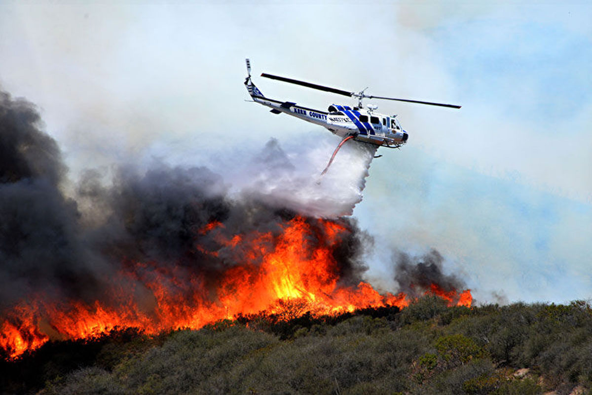 وقوع آتش سوزی در اراضی جنگلی نکا و گلوگاه