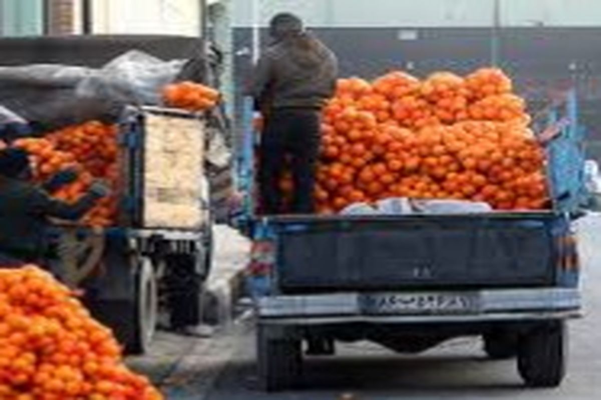 ذخیره سازی ۲۵۰ تن میوه شب عید در کهگیلویه و بویراحمد