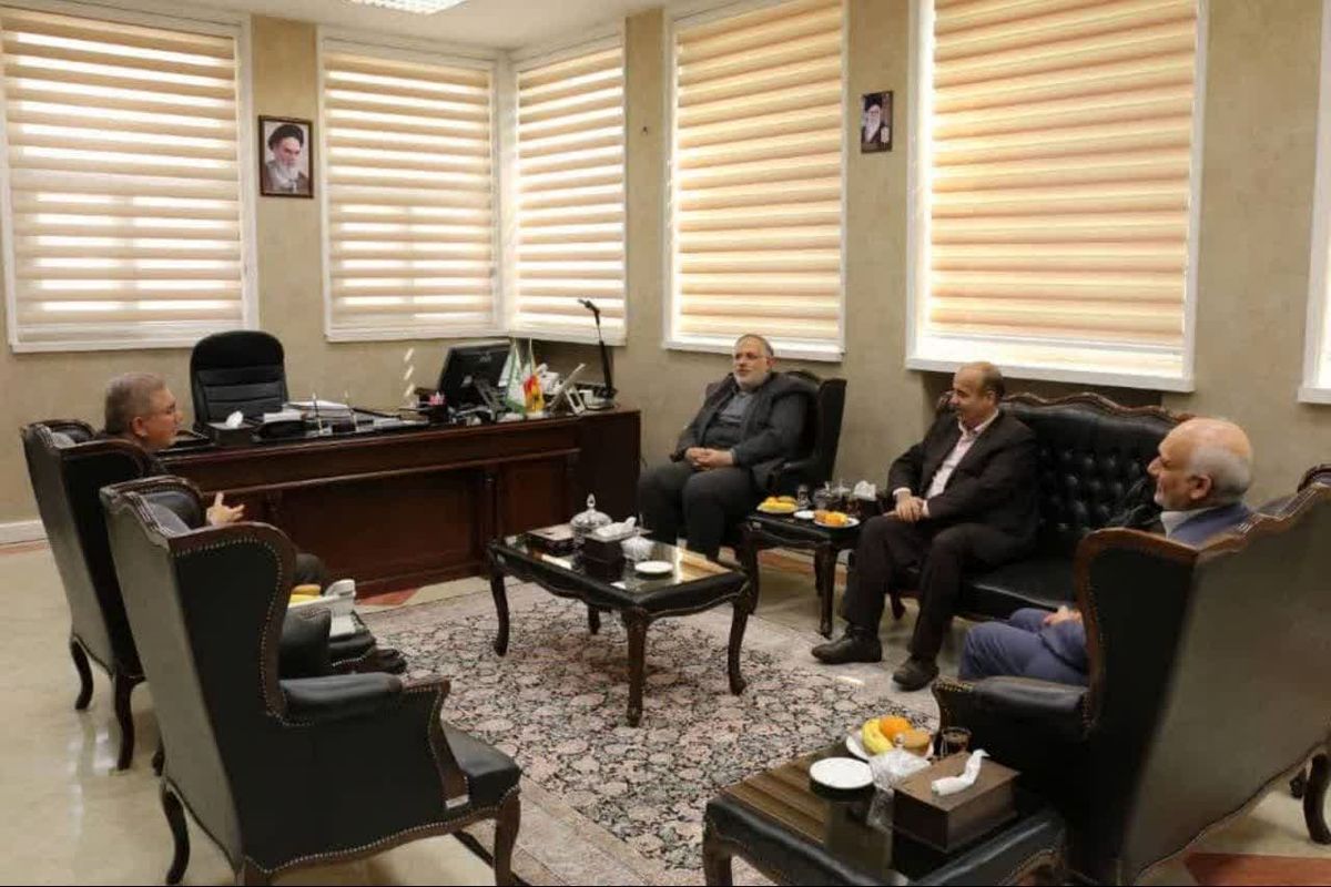 استاندار قزوین با رئیس سازمان امور مالیاتی کشور دیدار کرد
