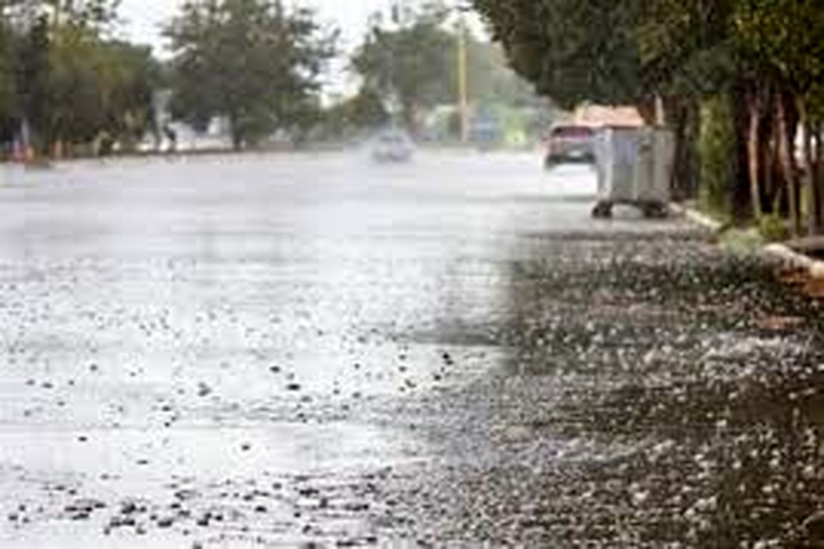 ثبت باران در ۲۴ ایستگاه هواشناسی سیستان و بلوچستان