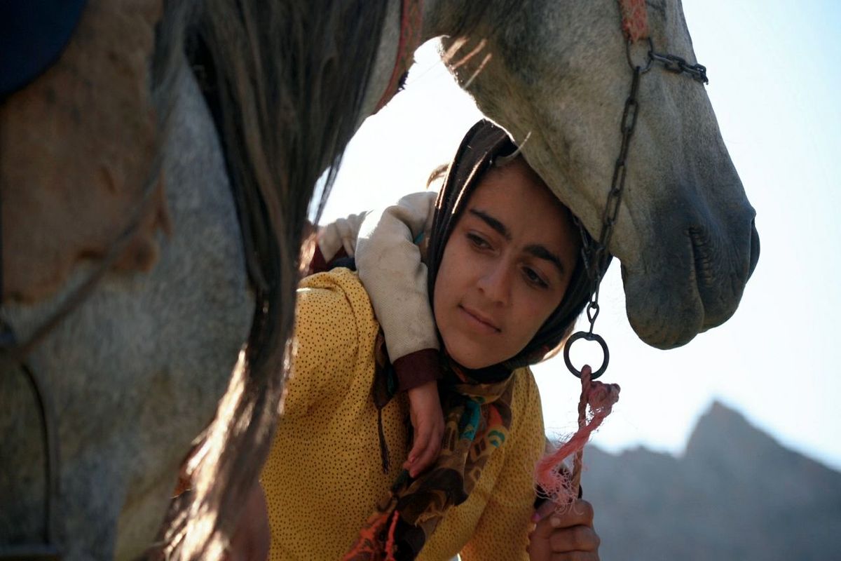 «رویای یک اسب» در جشنواره بیگ اسکای