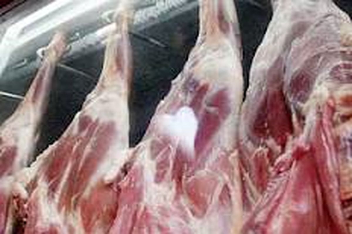 رمزگشایی از گرانی قیمت گوشت