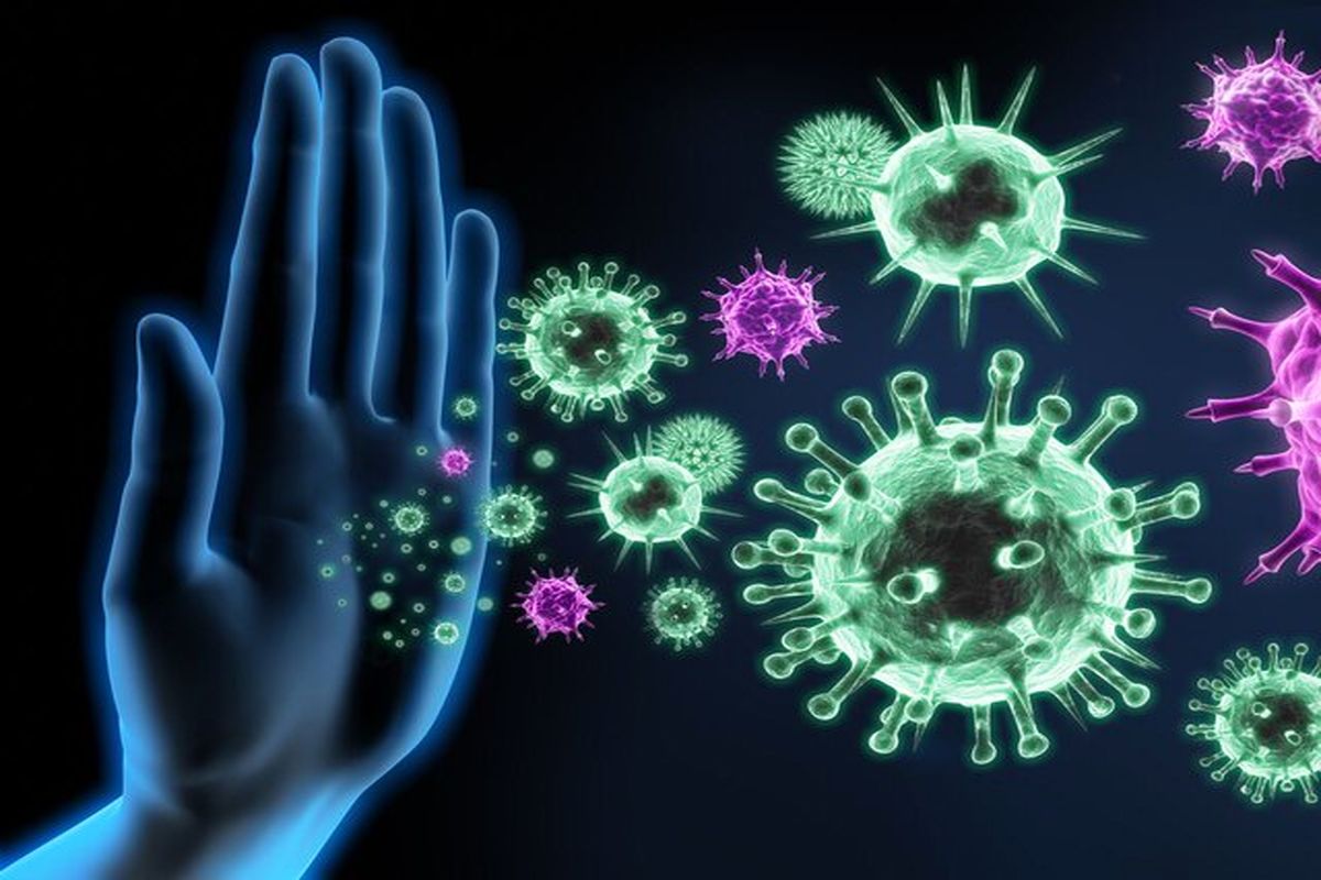 آخرین و جدیدترین آمار کرونایی در استان فارس تا ۱۱ بهمن ۱۴۰۱