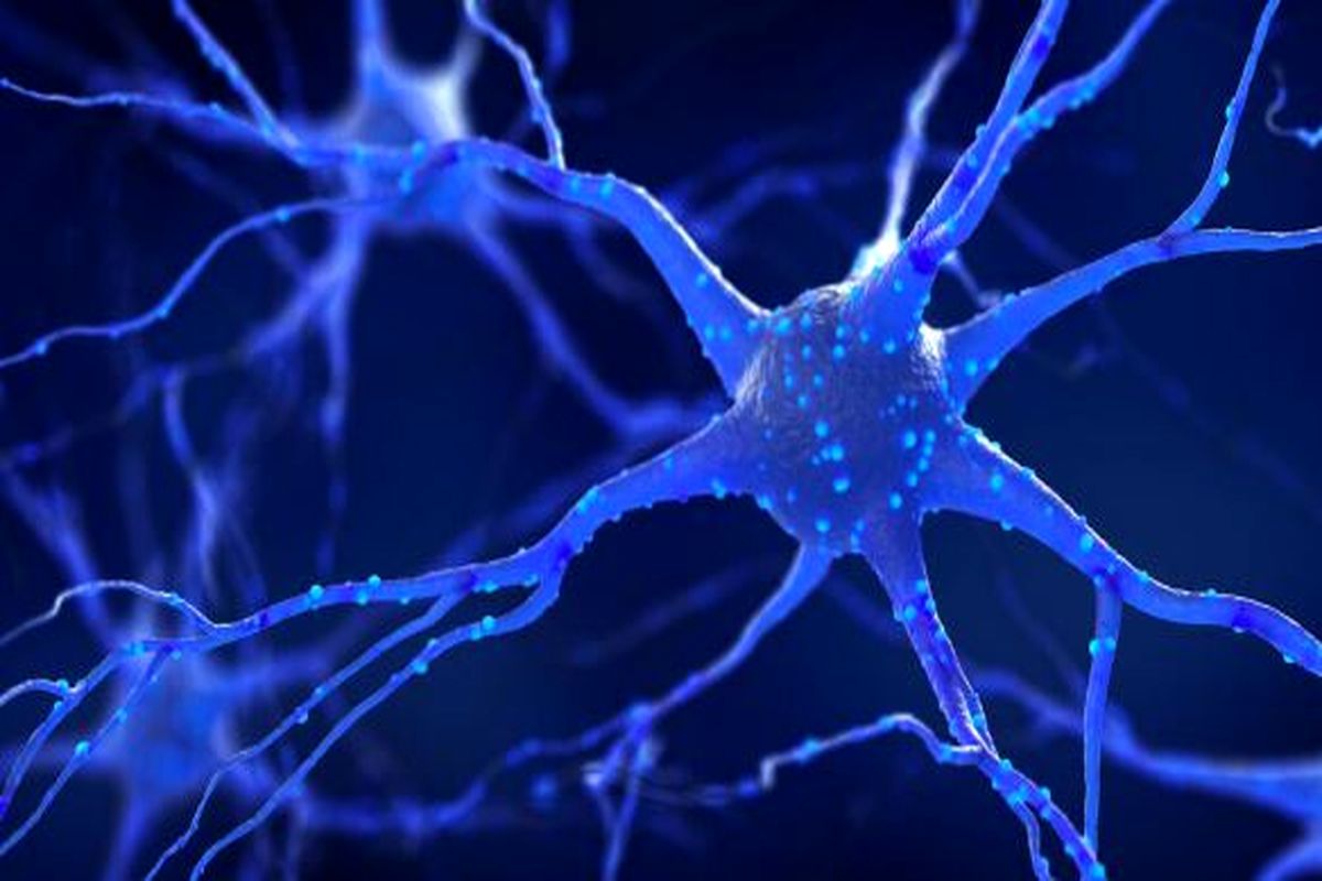 آیا آسیب سلول‌های عصبی قابل درمان است؟