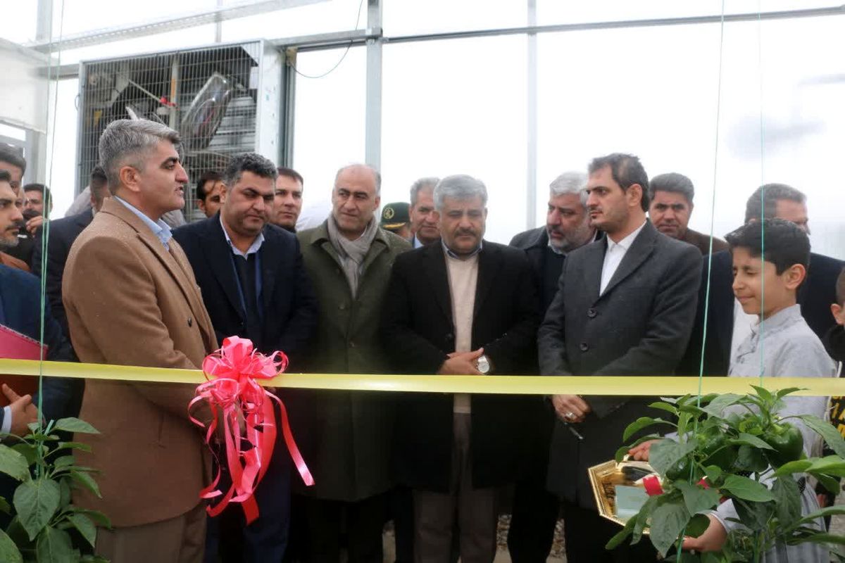 نهضت احداث گلخانه ی  استان با تمام توان ادامه دارد