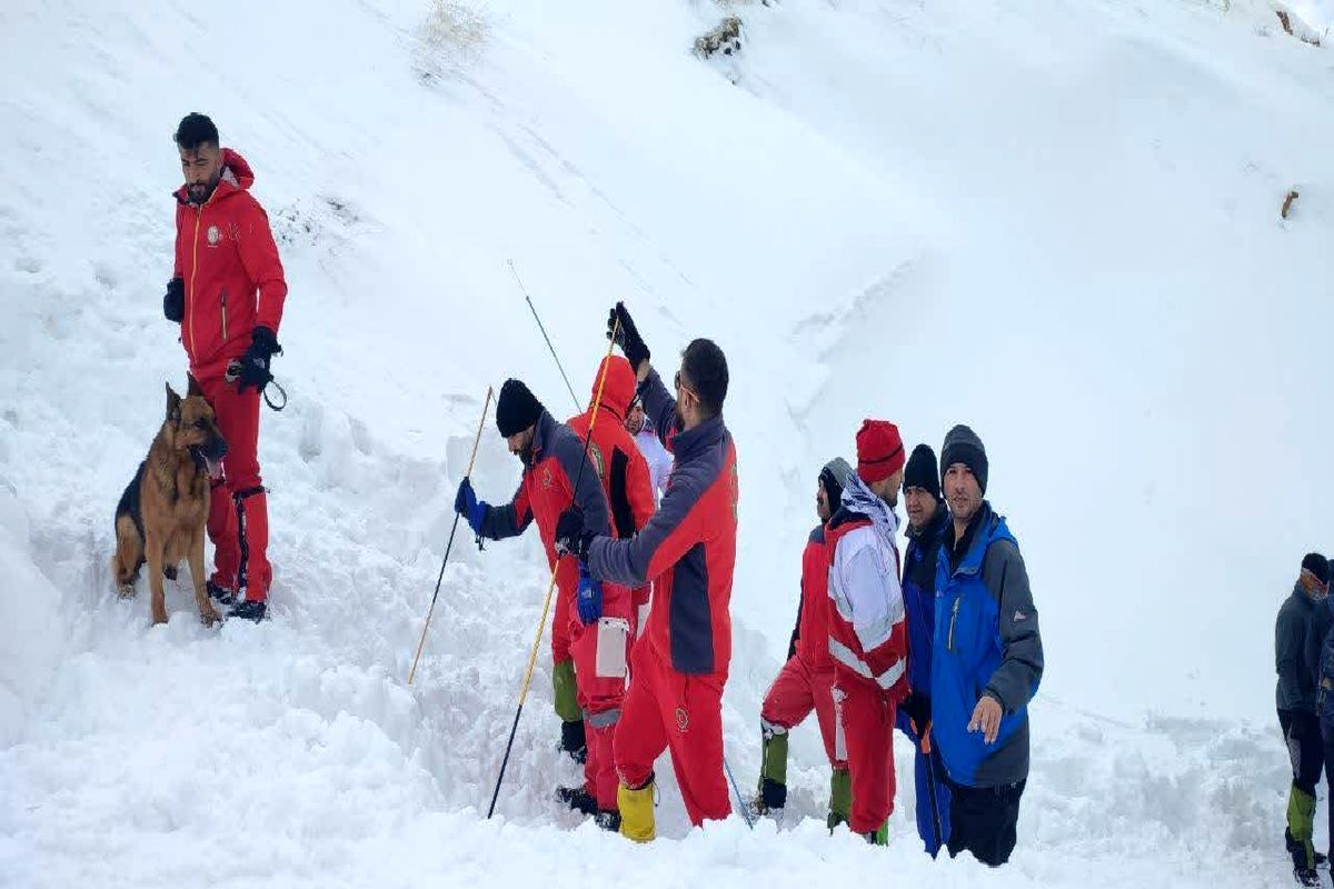 آخرین جزییات از ریزش بهمن در آبیدر/چند کوهنورد مفقود شدند؟+تصاویر
