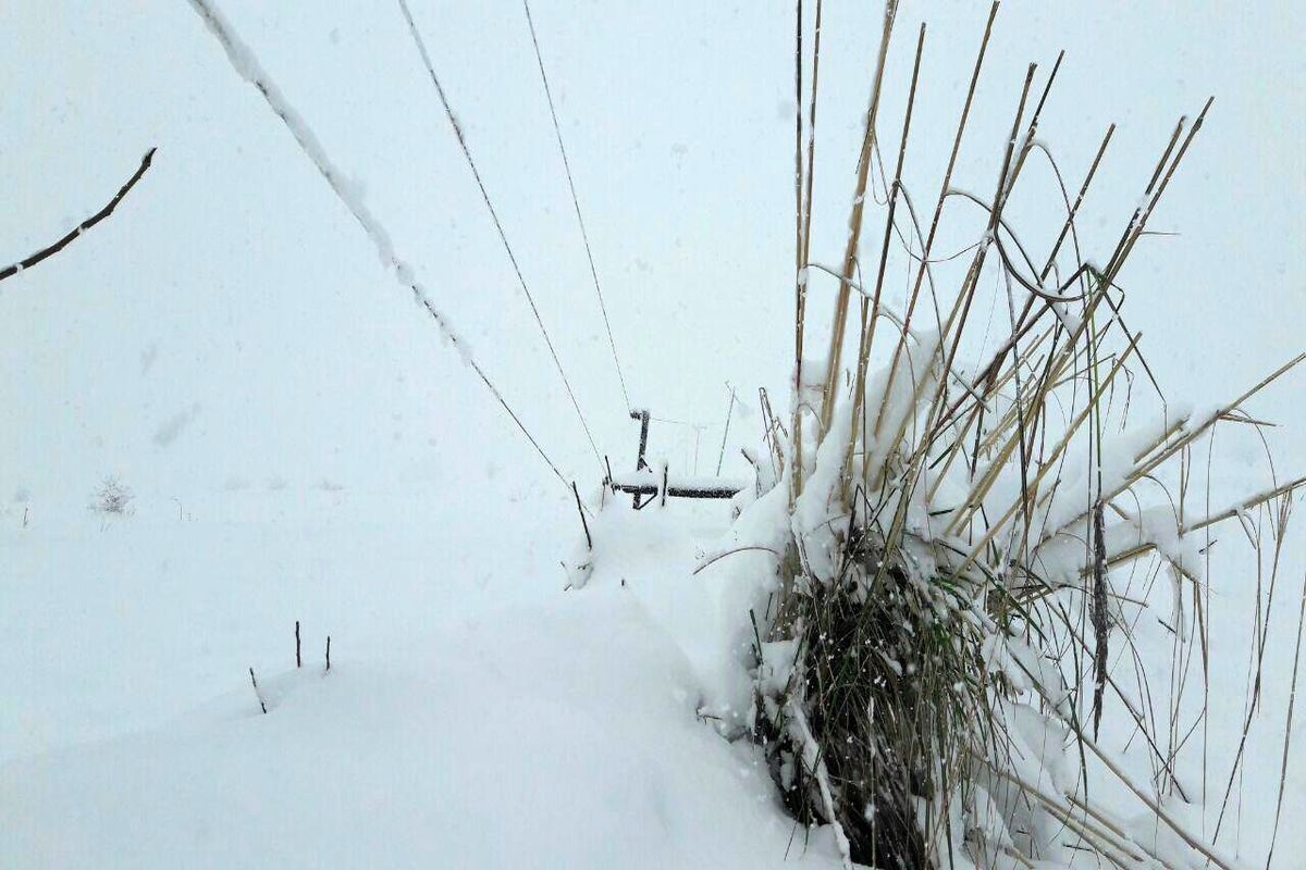 خسارت ۱۰۰ میلیارد ریالی برف به شبکه‌های برق‌رسانی استان چهارمحال و بختیاری/ اکنون همه مناطق استان برق‌دار است
