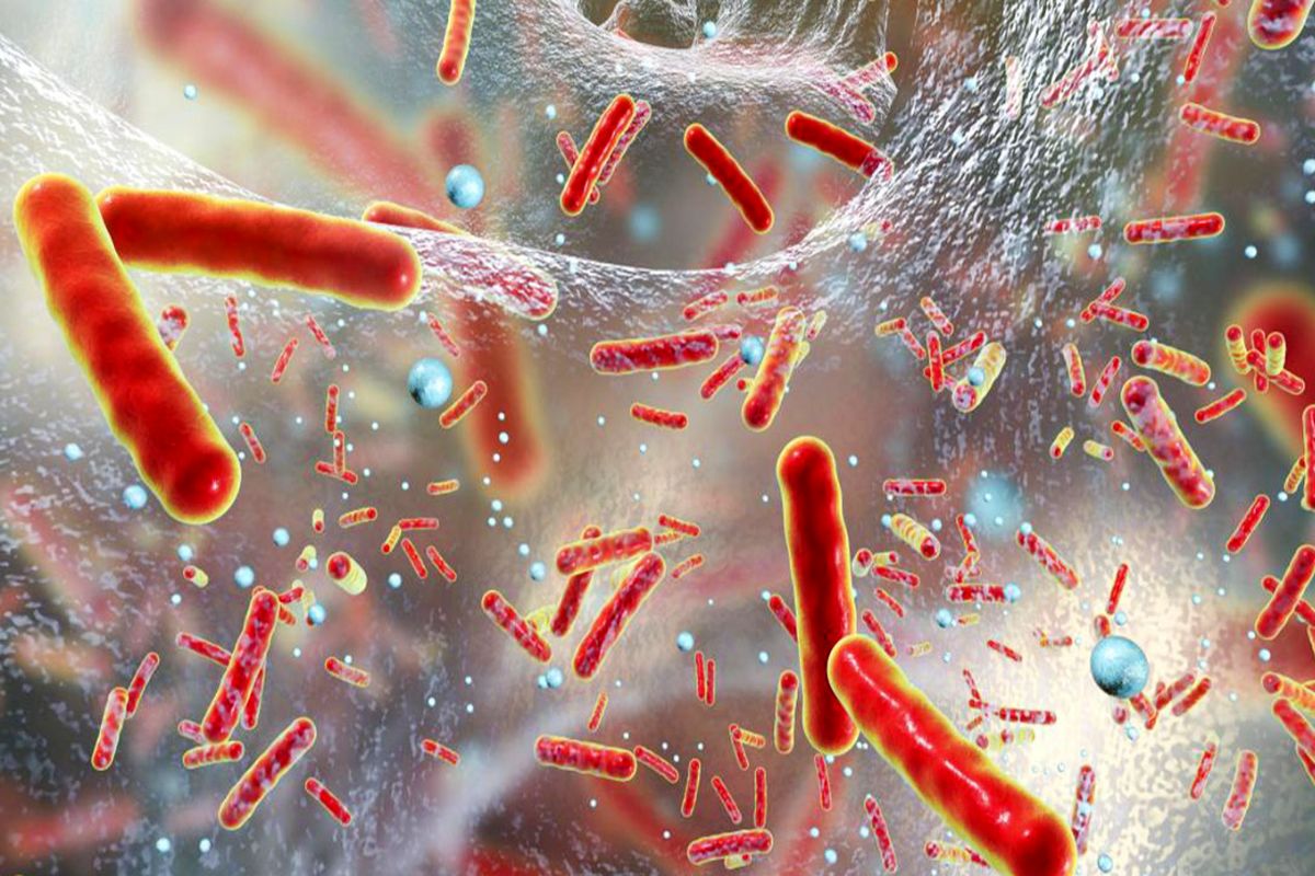 نانوذراتی که اثربخشی آنتی‌بیوتیک‌ را افزایش می‌دهند